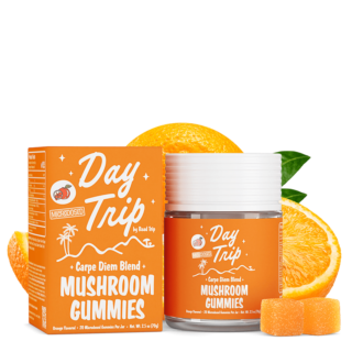 Day Trip - Mushroom Gummies - MICRODOSED - Orange - 20 Count